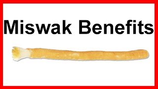 What is Miswak  Siwak  Benefits Of Miswak Stick Toothbruch Hadith  السواك [upl. by Larok918]