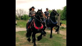 Alejandra Rojas quotRancho El Caprichoquot Austin Texas 2019 [upl. by Rosena]