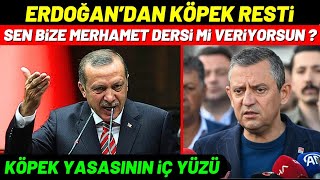 Erdoğanın Köpek RESTİ ve Yasanın İÇ YÜZÜ [upl. by Kimberley]