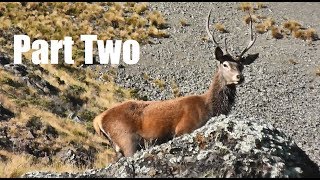 Roar 2018 PART TWO  Roaring Reds Stags of Marlborough  Autumn Hunt [upl. by Atinreb485]