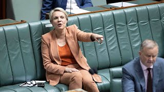 Tanya Plibersek urges Senate to support new nature laws [upl. by Borlow259]