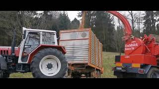 Hackgut Erzeugung mit STEYR 8085  Eschelböck Biber 78 und Massey Ferguson [upl. by Tichon624]