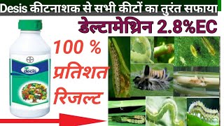 🐛सभी कीटों का तुरंत सफाई l Bayer Desis 100 Insecticide l बायर डेसिज 100 [upl. by Hiasi]