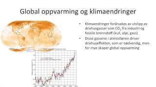 Samfunnsfag  Økonomisk vekst og bærekraftig utvikling [upl. by Nroht]