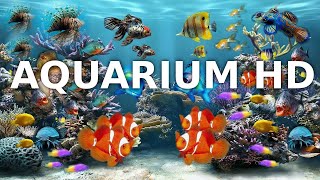 Entspannungsmusik Aquarium  Unterwasserwelt Musik zum Einschlafen und Meditieren  3h Full HD [upl. by Lenette]