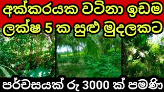 අක්කරයම ලක්ෂ 5 කට  පර්චසයක් රු 5000  Land for sale in sri lanka  Agriculture land  Aduwata idam [upl. by Ronile]