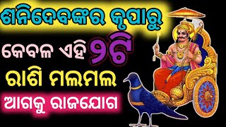 ଶନି ଦେବଙ୍କର କୃପା। ଆଗକୁ ଏହି ୨ଟି ରାଶି କରିବେ ରାଜ। ଶନି ଦେବ ହେଲେ ପ୍ରସର୍ଣ।rasifala [upl. by Alyhs]