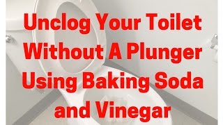 Unclog Your Toilet Without a Plunger Using Baking Soda and Vinegar [upl. by Adnawat]