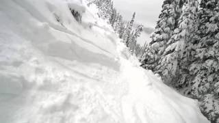 Whistler Dec 13 2015 Lower Franzs Meadow Trees [upl. by Lilly183]