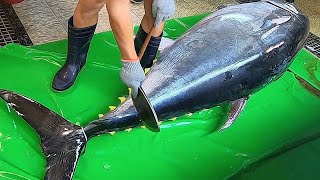 Worlds Sharpest Knife vs 600lb Giant Bluefin Tuna Masterful Sashimi Cutting [upl. by Britteny]