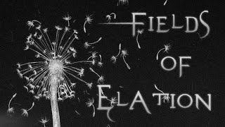 Fields Of Elation  Sleep Token Lyrics [upl. by Karr]