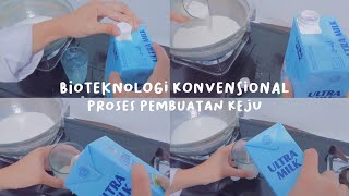 bioteknologi konvensional  proses pembuatan keju ✧。 [upl. by Aspasia]