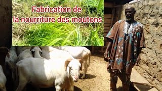 Élevagela fabrication de la nourriture des moutons chèvres et bœufs [upl. by Anaili]