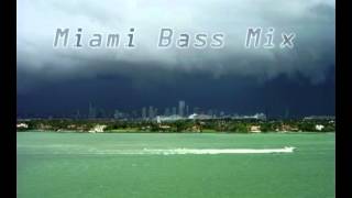 Leeroy Thornhill  Miami Bass Mix [upl. by Aihtnis]