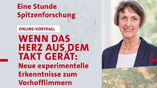 Wenn das Herz aus dem Takt gerät Neue experimentelle Erkenntnisse zum Vorhofflimmern [upl. by Granoff920]