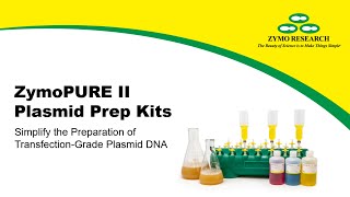 Protocol Plasmid Purification In Just 20 Minutes  Zymo Research [upl. by Absa]