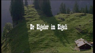 Dr Eigeler im Eigeli  Rees Gwerder  Schwyzerörgeli [upl. by Ennaeiluj]