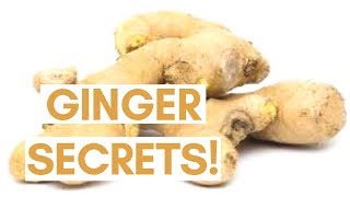 Ginger Root  Ginger Root Benefits For Nausea and Vomiting  2 Minute Nutrition [upl. by Brenn]