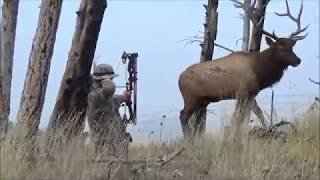 Montana archery elk hunt [upl. by Eissahc]