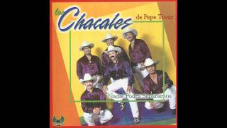 Los Chacales De Pepe Tovar El Limosnero [upl. by Ynaffad]