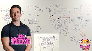 Understanding ECGs  From Placement to Interpretation [upl. by Schacker357]