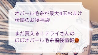 【オパール毛糸福袋】まだ買える！テライさんのあまりにもお得な福袋セット紹介【20玉ソックヤーン紹介】 [upl. by Henrie]