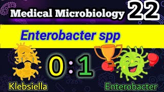 Enterobacter and Klebsiella Similarities and differences شرح بالعربي E cloacae E aerogenes [upl. by Aerdna]