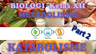 Metabolisme Kelas XII IPA Part 2  Katabolisme [upl. by Yrrum]