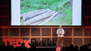 Il bosco respira il bosco ci parla  Maria Rita Gallozzi  TEDxBiella [upl. by Orella]