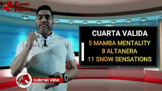 Pronósticos La Rinconada Domingo 21 de Enero de 2024  Fusión Hípica 3  Análisis para el 5y6 [upl. by Claudian]