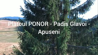 Platoul Ponor  Padis Cetatile Ponorului Apuseni [upl. by Rentschler]