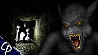 Investigating Torontos Tunnel Monster  Cryptid Profile [upl. by Anelec]