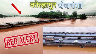 Kolhapur Panchganga River High Red Alert Update 😱  कोल्हापुर में तेज बारिश लगाया Red Alert [upl. by Leopoldine150]