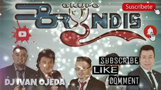 EXITOS INOLVIDABLES LO MEJOR GRUPO BRYNDIS MIX VOL 1 ENGANCHADO 2020 [upl. by Anifad]