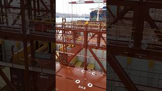 Kitne container se busines start kre  🚢💰🤔😮mscship shippingshorts business ytshorts reels [upl. by Gurl]