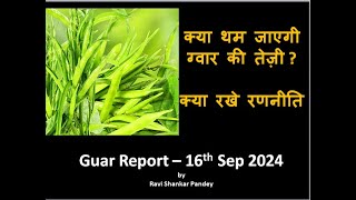 क्या थम जाएगी ग्वार की तेज़ीक्या रखे रणनीतिGuar Report  16h Sep 2024 [upl. by Liliane]