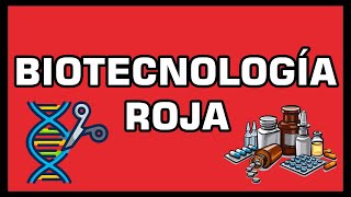 🔴 BIOTECNOLOGÍA ROJA  Biotecnología Humana y sus Aplicaciones [upl. by Anaidni749]