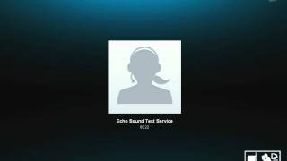 Skype Test Call [upl. by Leahcimauhsoj]