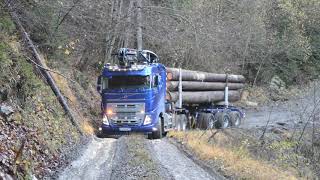 🚚💨 VOLVO FH16 650  🌲 GRUMIER TRANSPORTS GERVAIS  Ça passe tout juste [upl. by Harper85]