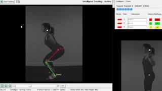 Quintic Biomechanics v29  Intelligent Tracking of 3 Points [upl. by Yadnil]