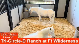 Tour of TriCircleD Ranch at Walt Disney World’s Fort Wilderness 4K [upl. by Ribaj]