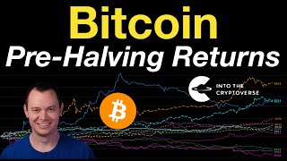 Bitcoin PreHalving Year Returns [upl. by Wardlaw]