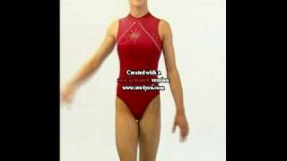 TheZone Gymnastics Leotards [upl. by Glennis]