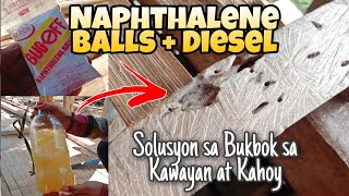 ANTIBUKBOK quotWood Borersquot Naphthalene Balls  Diesel Effective ba  How to get rid of wood borer [upl. by Ainafets]