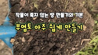 미생물 배양시 원종인 부엽토를 아주 쉽게 만드는 방법과 지금 만들어야 하는 이유 [upl. by Calder]