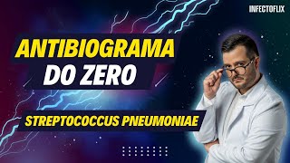 Dominando Antibiogramas do Zero  Streptococcus pneumoniae [upl. by Namra953]