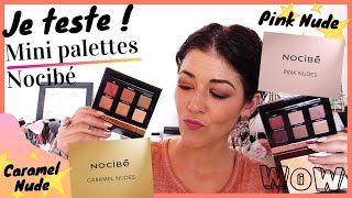 CRASH TEST Mini palettes Nocibé  Pink amp Caramel Nudes  Maquillage des yeux marrons [upl. by Sucramej]