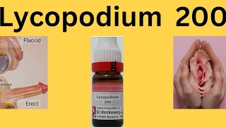 Lycopodium Homeopathic medicine Lycopodium Clavatum 30 ch uses in Hindi Lycopodium 200 Uses [upl. by Andrien]