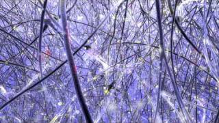 3D Procedural Neuron Forest  Microglia in Action [upl. by Llenahc]