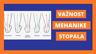 MEHANIKA STOPALA spušteno stopalo podignuto stopalo [upl. by Lashond]